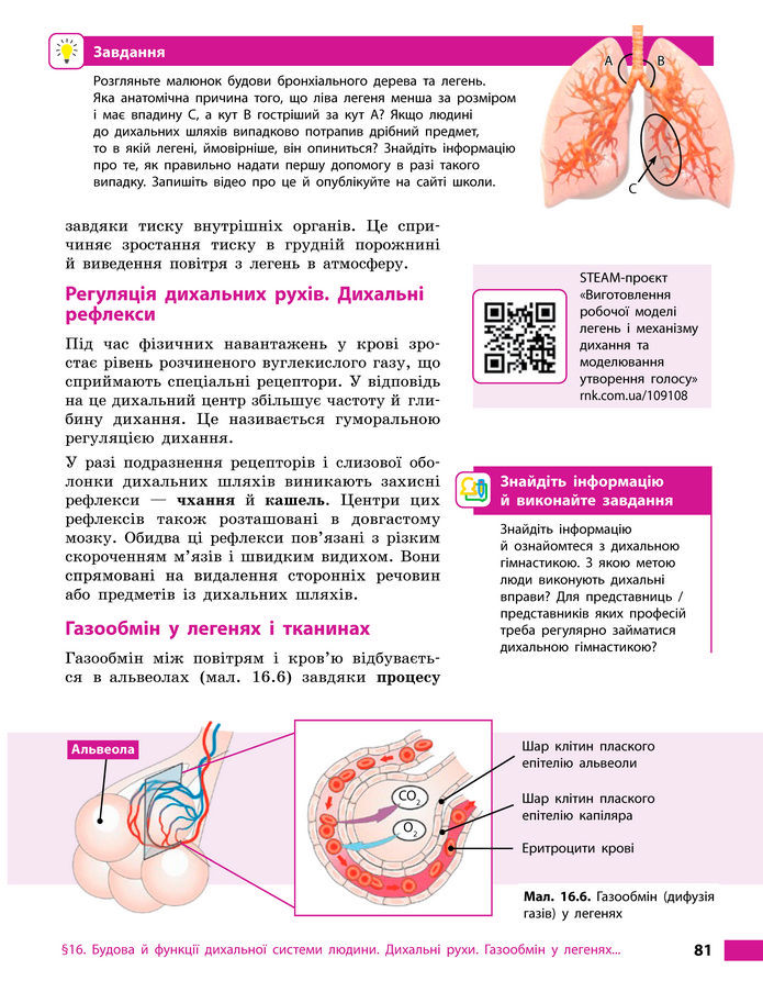 Підручник Біологія 8 клас Тагліна (2025)