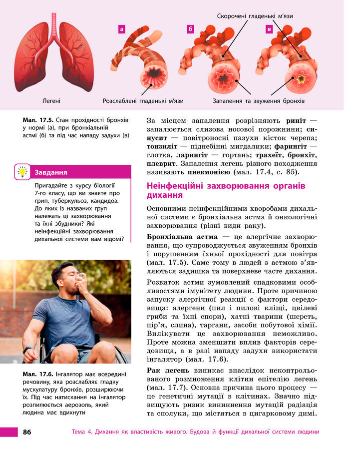 Підручник Біологія 8 клас Тагліна (2025)