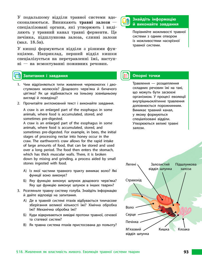 Підручник Біологія 8 клас Тагліна (2025)