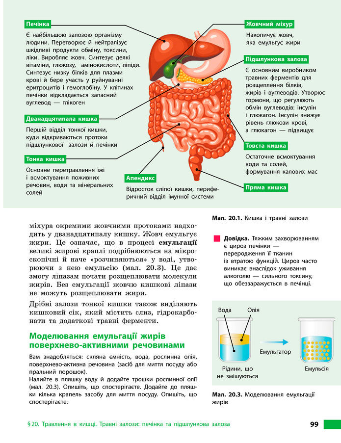 Підручник Біологія 8 клас Тагліна (2025)