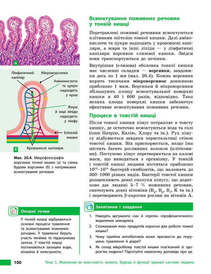 Підручник Біологія 8 клас Тагліна (2025)