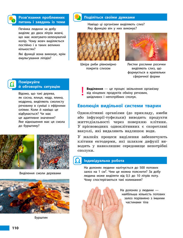Підручник Біологія 8 клас Тагліна (2025)
