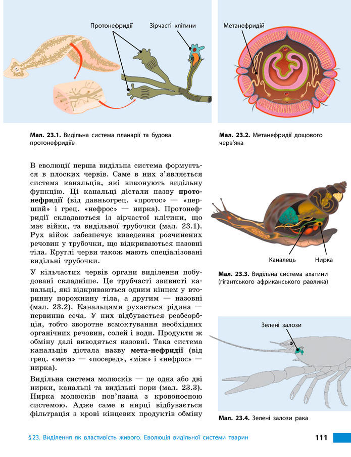 Підручник Біологія 8 клас Тагліна (2025)