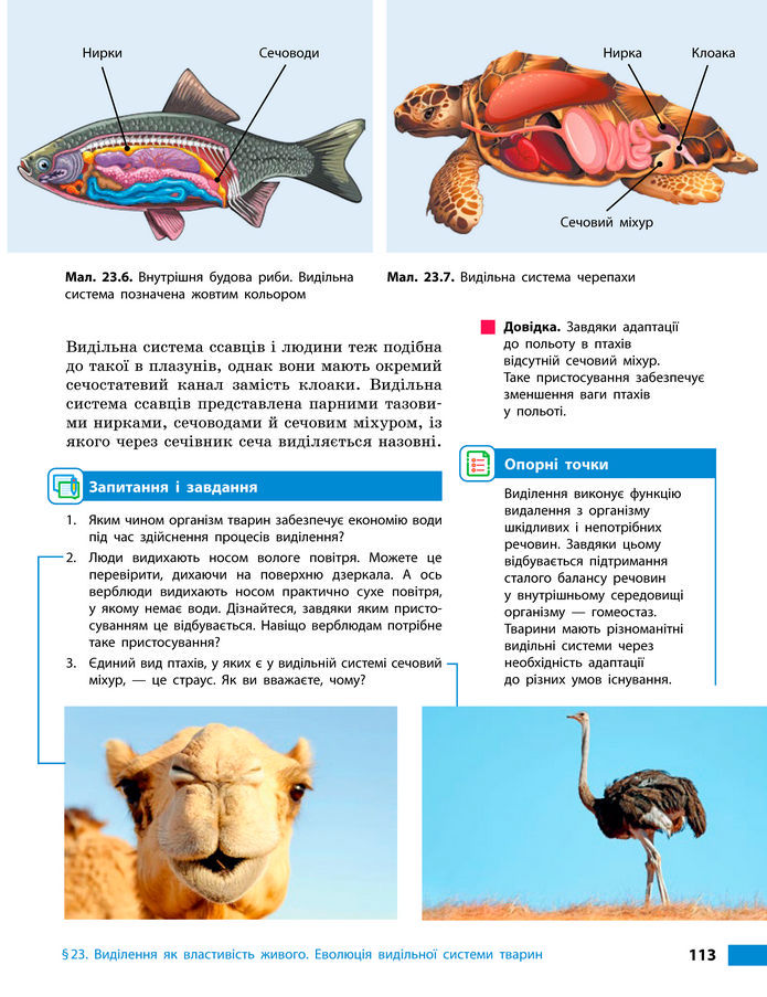 Підручник Біологія 8 клас Тагліна (2025)