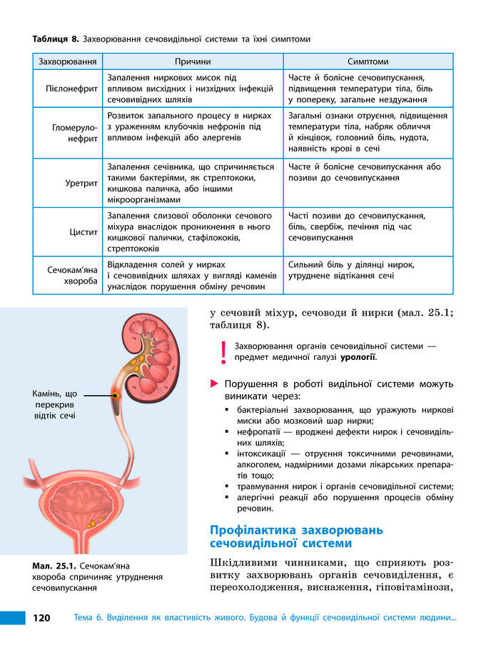 Підручник Біологія 8 клас Тагліна (2025)