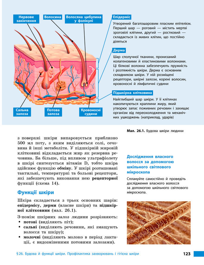 Підручник Біологія 8 клас Тагліна (2025)