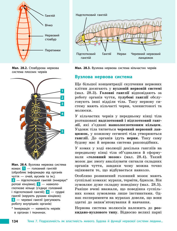 Підручник Біологія 8 клас Тагліна (2025)