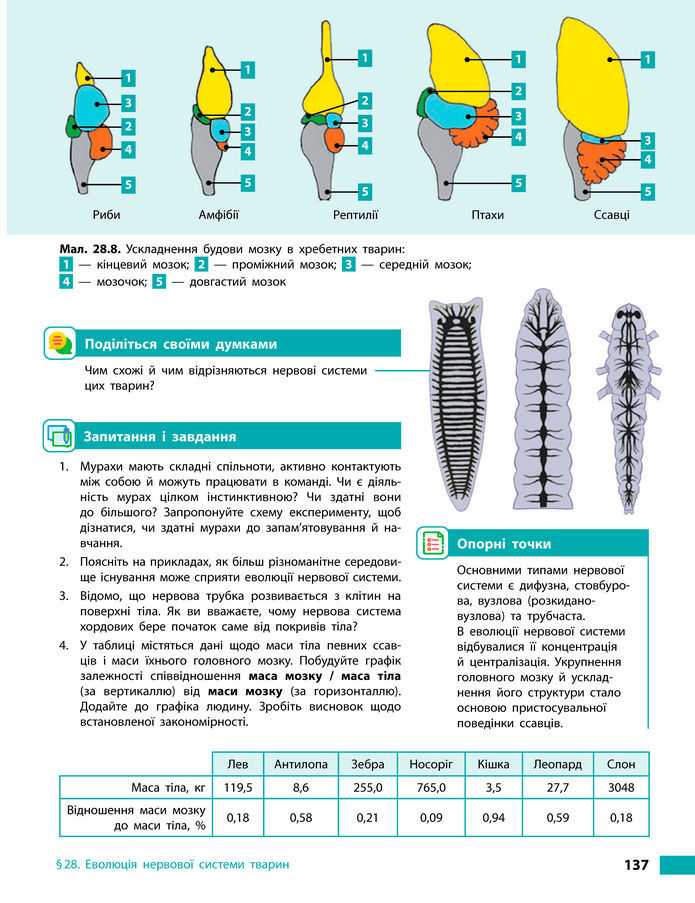Підручник Біологія 8 клас Тагліна (2025)