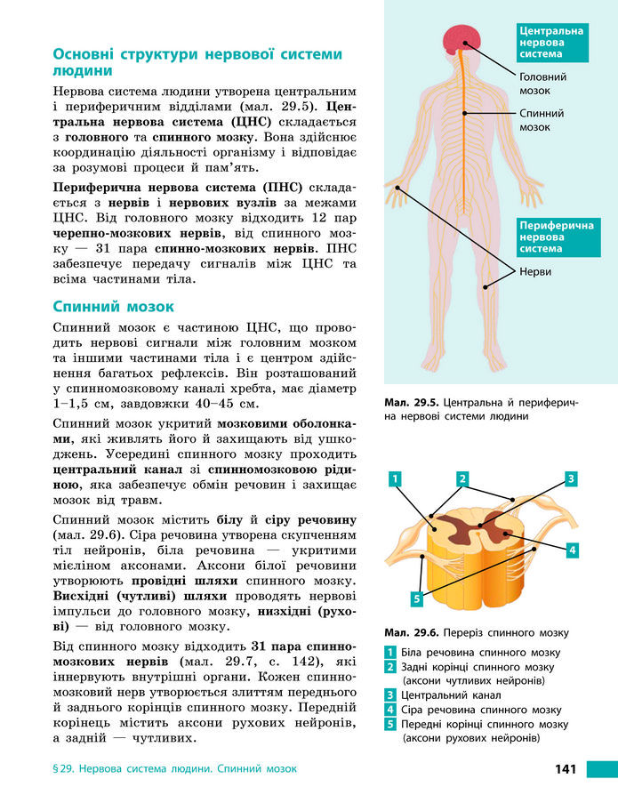 Підручник Біологія 8 клас Тагліна (2025)