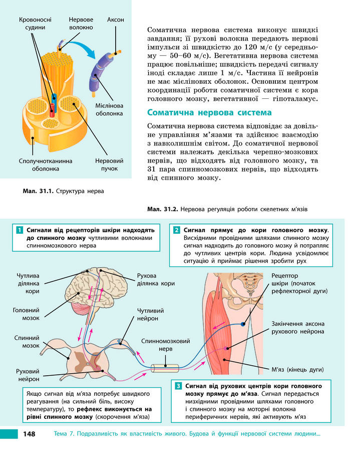 Підручник Біологія 8 клас Тагліна (2025)