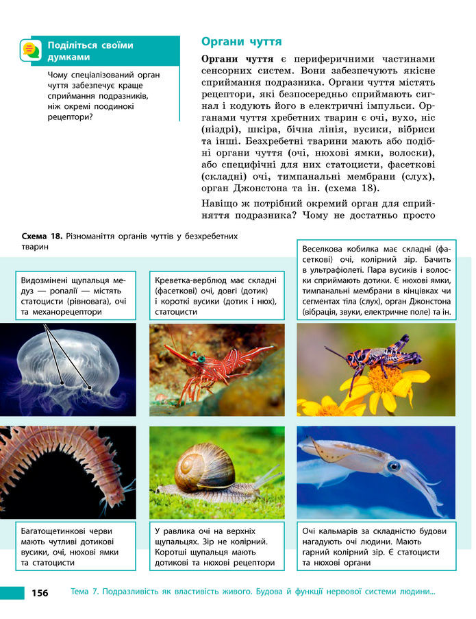 Підручник Біологія 8 клас Тагліна (2025)