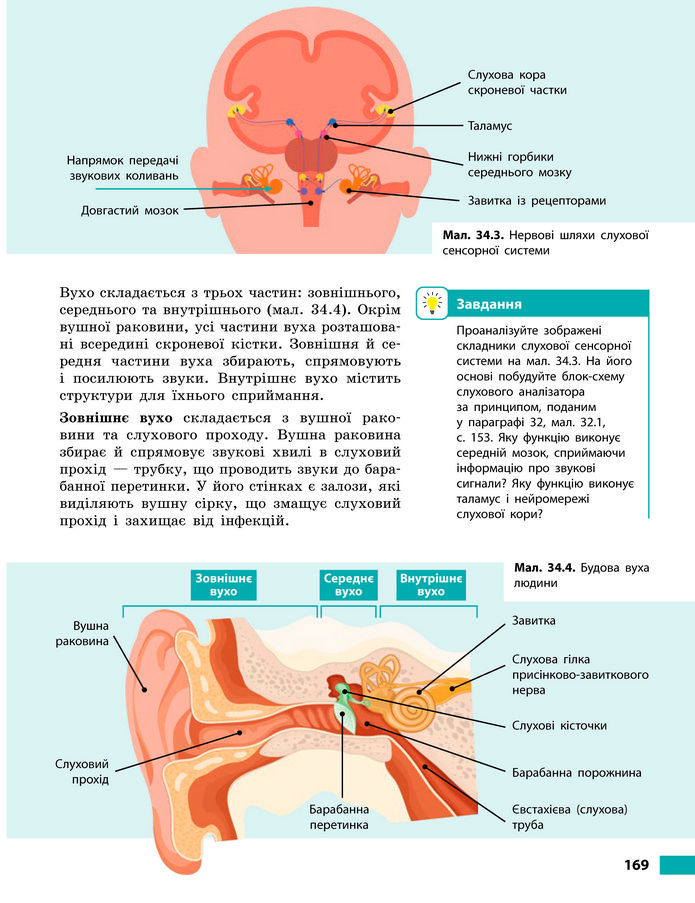 Підручник Біологія 8 клас Тагліна (2025)