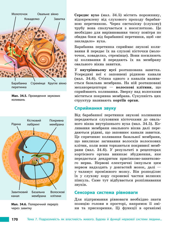 Підручник Біологія 8 клас Тагліна (2025)