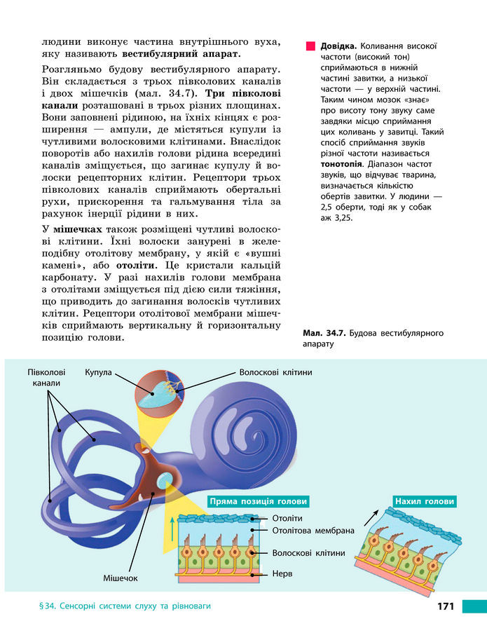Підручник Біологія 8 клас Тагліна (2025)