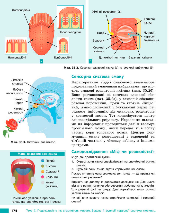 Підручник Біологія 8 клас Тагліна (2025)