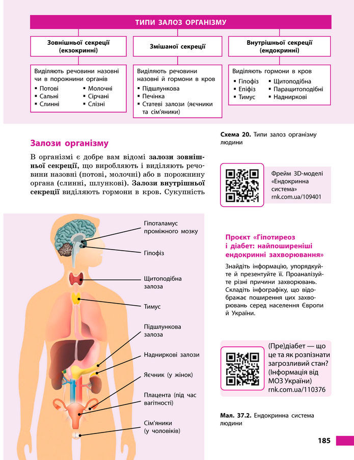 Підручник Біологія 8 клас Тагліна (2025)