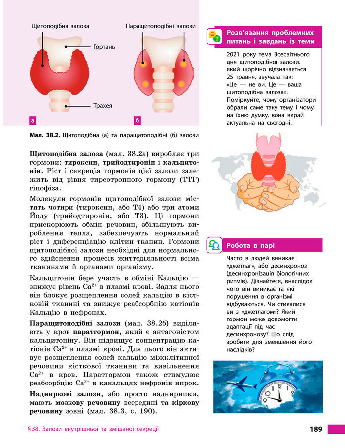 Підручник Біологія 8 клас Тагліна (2025)