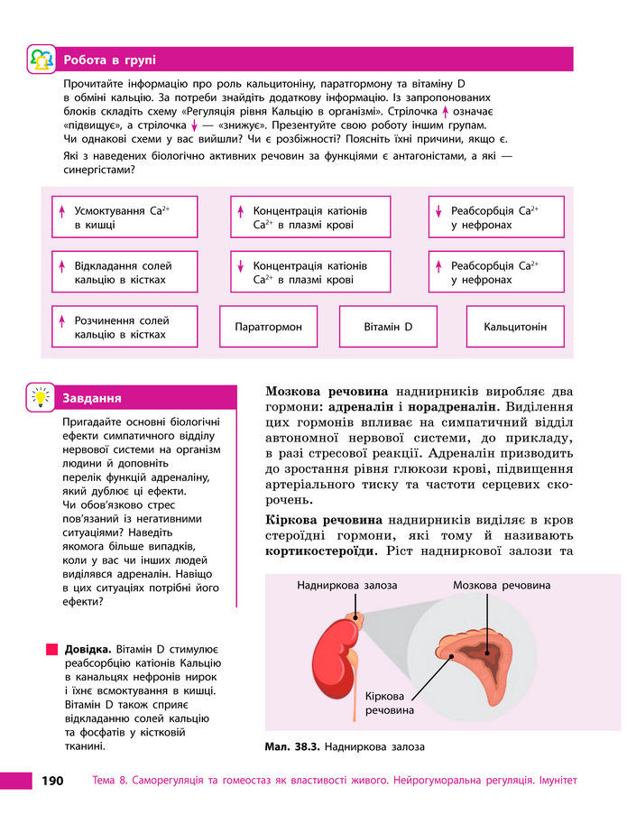 Підручник Біологія 8 клас Тагліна (2025)