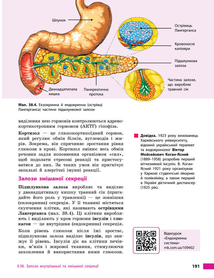 Підручник Біологія 8 клас Тагліна (2025)