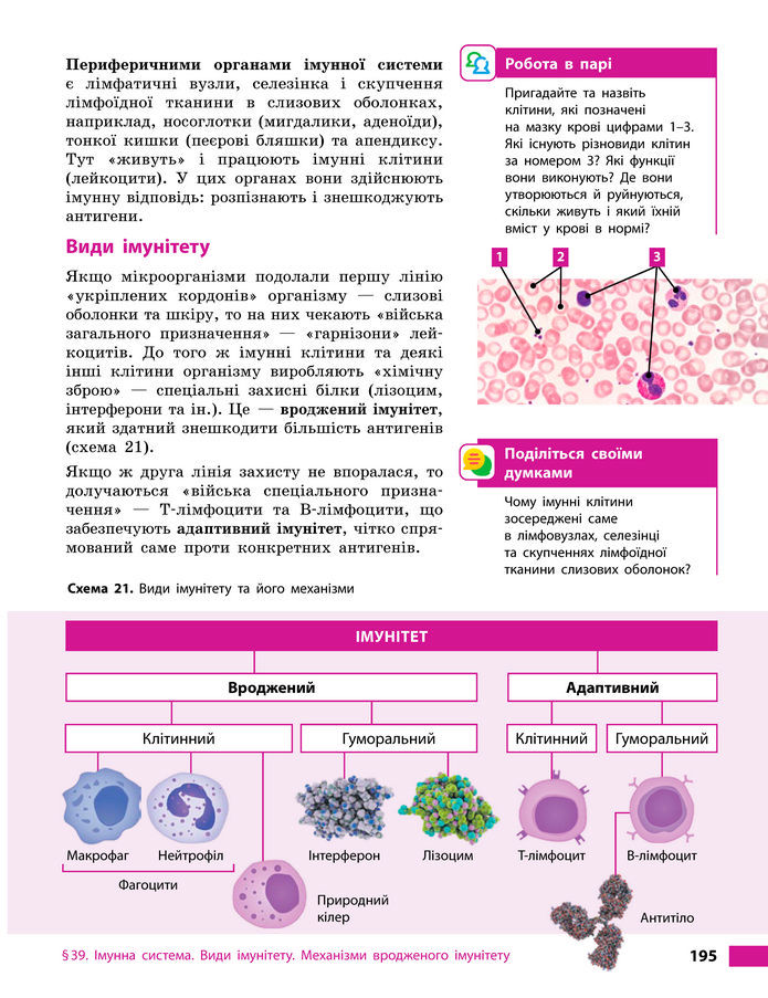 Підручник Біологія 8 клас Тагліна (2025)