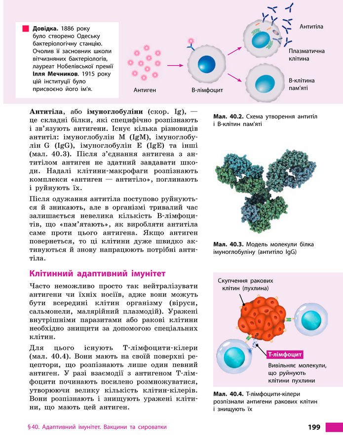 Підручник Біологія 8 клас Тагліна (2025)