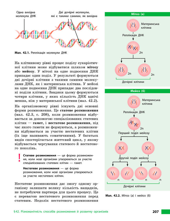 Підручник Біологія 8 клас Тагліна (2025)
