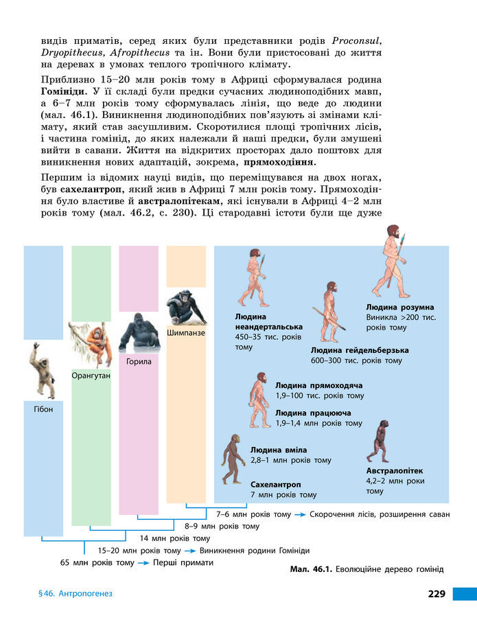 Підручник Біологія 8 клас Тагліна (2025)