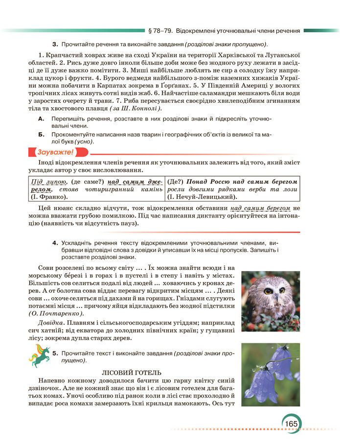 Підручник Українська мова 8 клас Авраменко (2025)