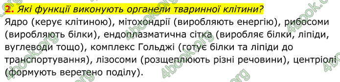 ГДЗ Біологія 8 клас Тагліна (2025)