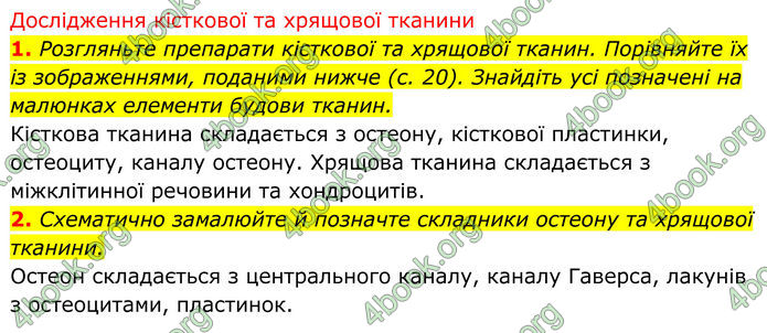 ГДЗ Біологія 8 клас Тагліна (2025)