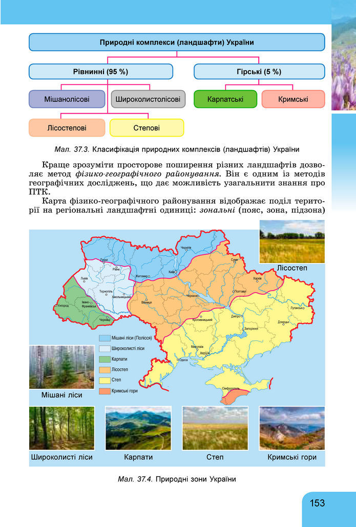 Підручник Географія 8 клас Гільберг (2025)