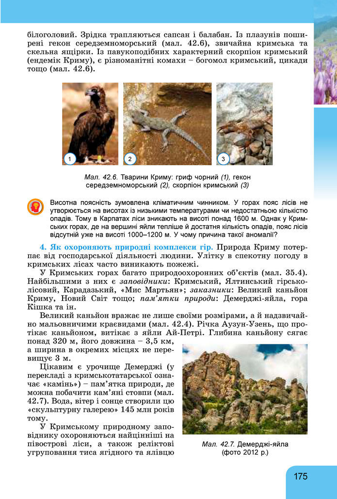 Підручник Географія 8 клас Гільберг (2025)