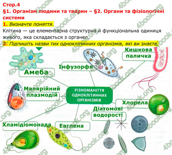 ГДЗ Зошит Біологія 8 клас Тагліна (2025)