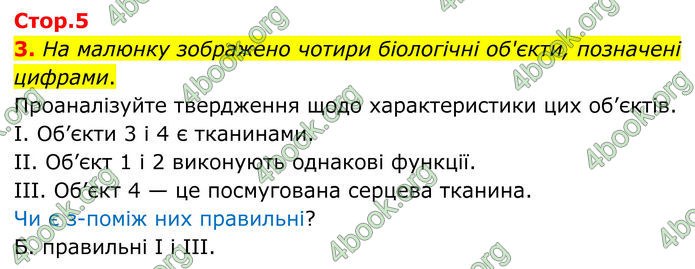 ГДЗ Зошит Біологія 8 клас Тагліна (2025)