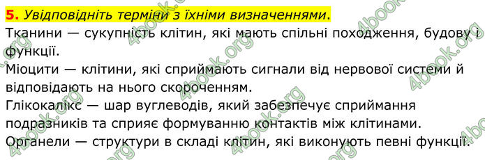 ГДЗ Зошит Біологія 8 клас Тагліна (2025)