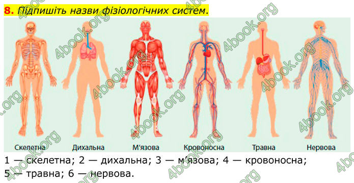 ГДЗ Зошит Біологія 8 клас Тагліна (2025)