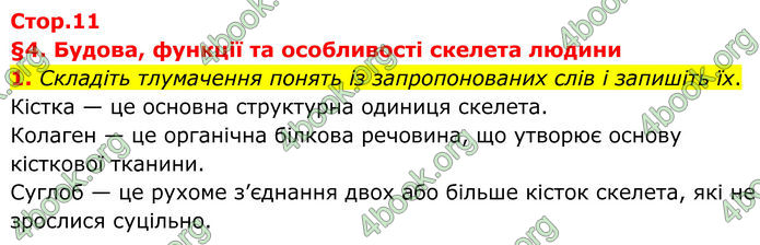 ГДЗ Зошит Біологія 8 клас Тагліна (2025)