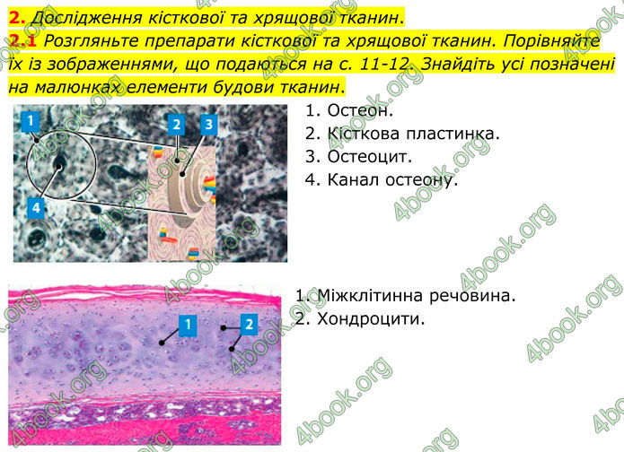 ГДЗ Зошит Біологія 8 клас Тагліна (2025)