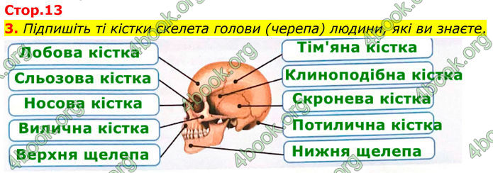 ГДЗ Зошит Біологія 8 клас Тагліна (2025)