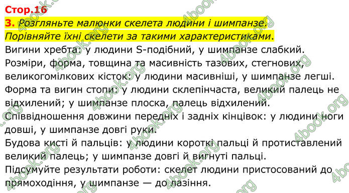 ГДЗ Зошит Біологія 8 клас Тагліна (2025)