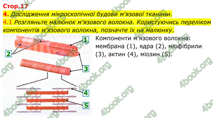 ГДЗ Зошит Біологія 8 клас Тагліна (2025)