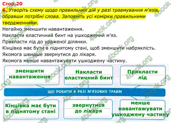 ГДЗ Зошит Біологія 8 клас Тагліна (2025)