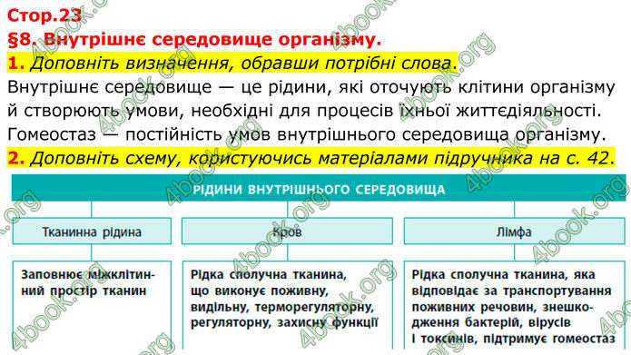 ГДЗ Зошит Біологія 8 клас Тагліна (2025)