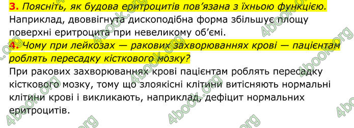 ГДЗ Біологія 8 клас Тагліна (2025)