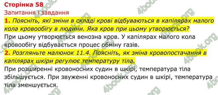 ГДЗ Біологія 8 клас Тагліна (2025)