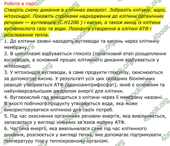 ГДЗ Біологія 8 клас Тагліна (2025)