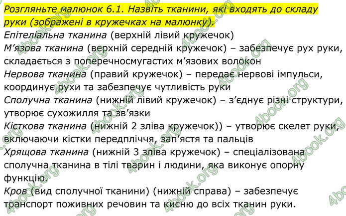 ГДЗ Біологія 8 клас Балан (2025)