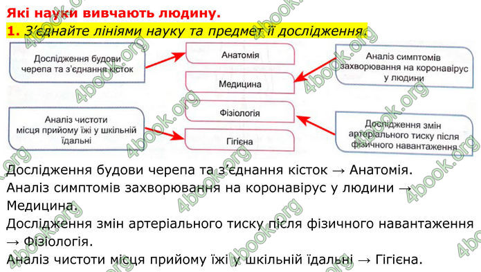 ГДЗ Зошит Біологія 8 клас Кулініч (2025)