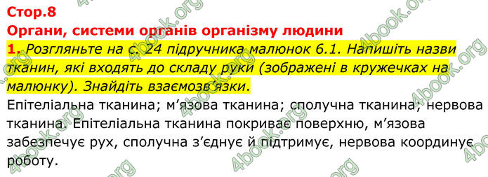 ГДЗ Зошит Біологія 8 клас Кулініч (2025)