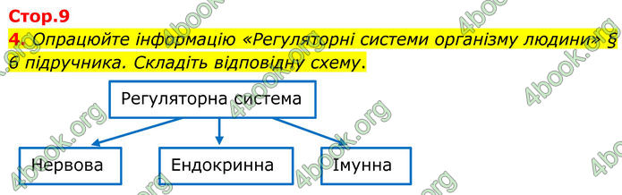 ГДЗ Зошит Біологія 8 клас Кулініч (2025)